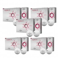 캘러웨이 헥스(HEX) 디아블로 골프볼(2피스)(화이트) 12구 5더즌세트 GF