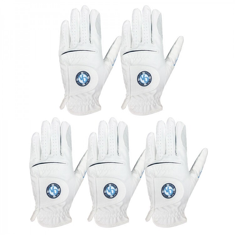 VIRDIE 케이스 극세사장갑(22-25) 5장세트 GF