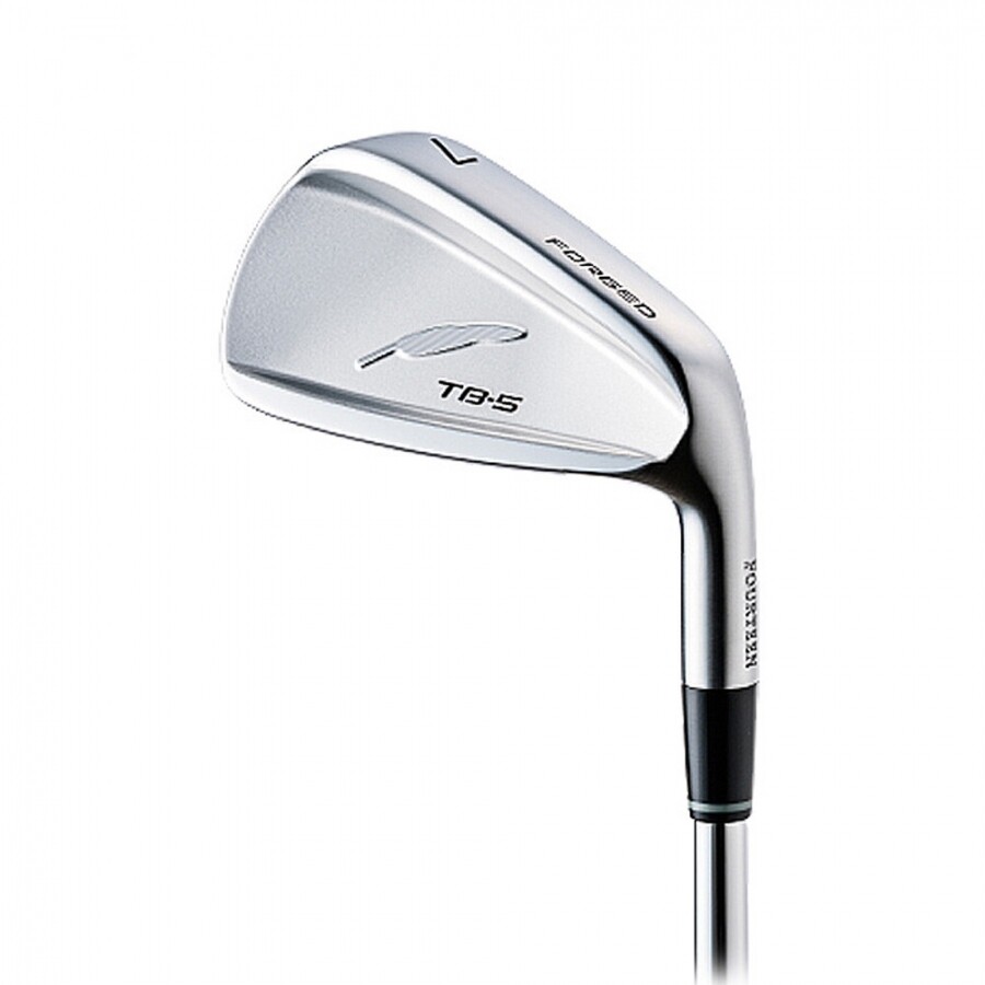 [성화스포츠정품] TB-5 포지드 DG 120 P/A 아이언단품 GF