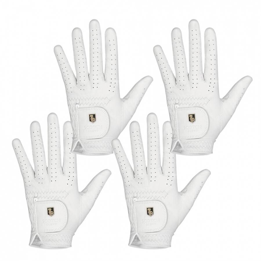 [범양글러브정품]스카치 천연양피 골프장갑 남성용 왼손 4장 세트 GF