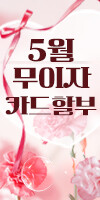 3월 무이자 카드할부